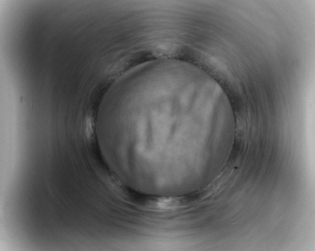 X0000096660130200802261351