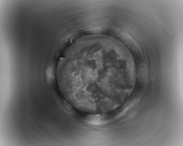 X0000096660131200802261351