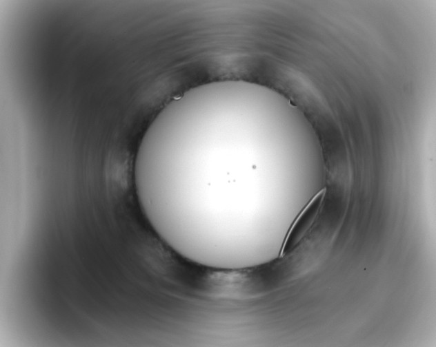 X0000096660133200802261351