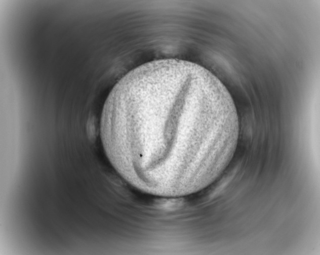 X0000096660135200802261351