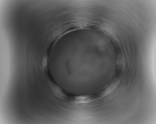 X0000096660139200802261351