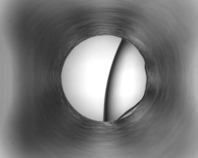 X0000096660141200802261351