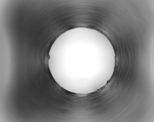 X0000096660143200802261351