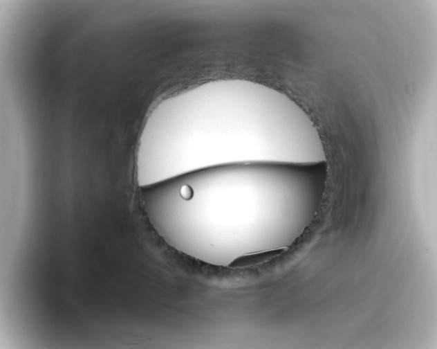 X0000096660144200802261351