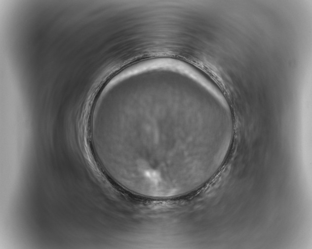 X0000096660145200802261350