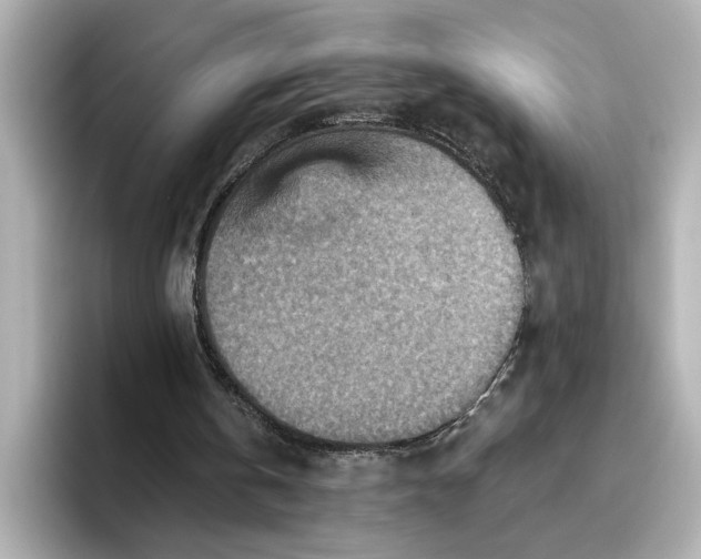 X0000096660146200802261350