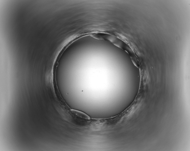 X0000096660148200802261350