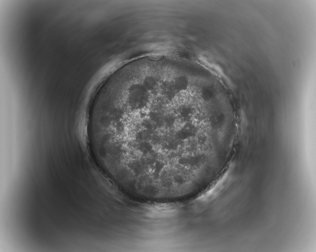 X0000096660149200802261350