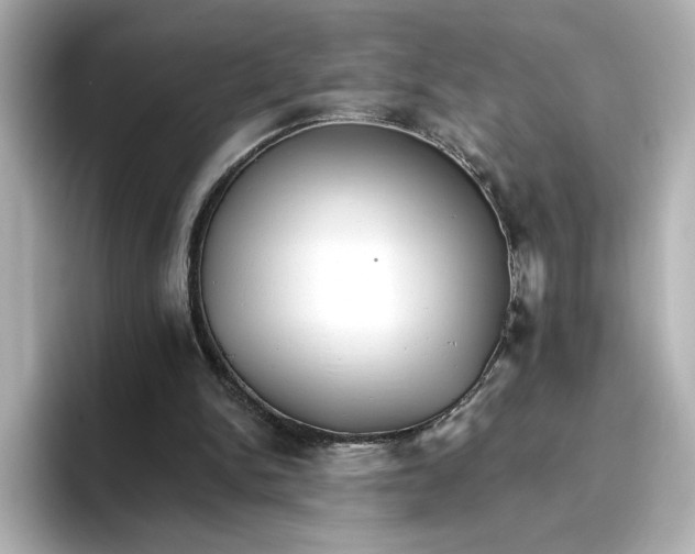 X0000096660150200802261350