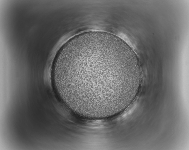 X0000096660151200802261350