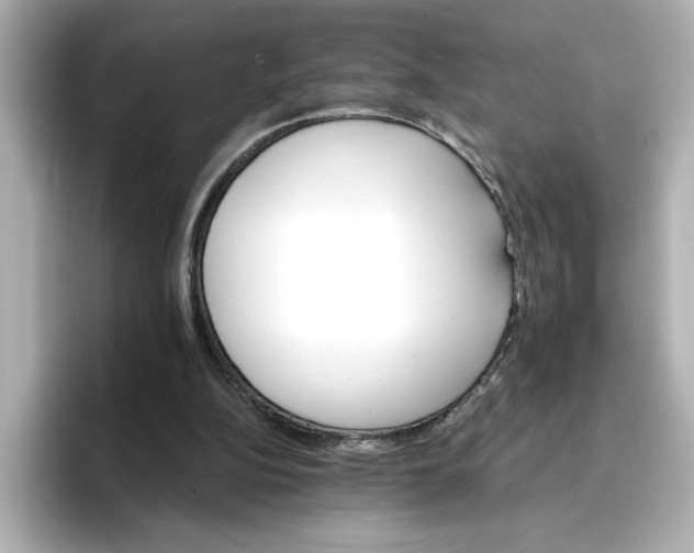 X0000096660152200802261350