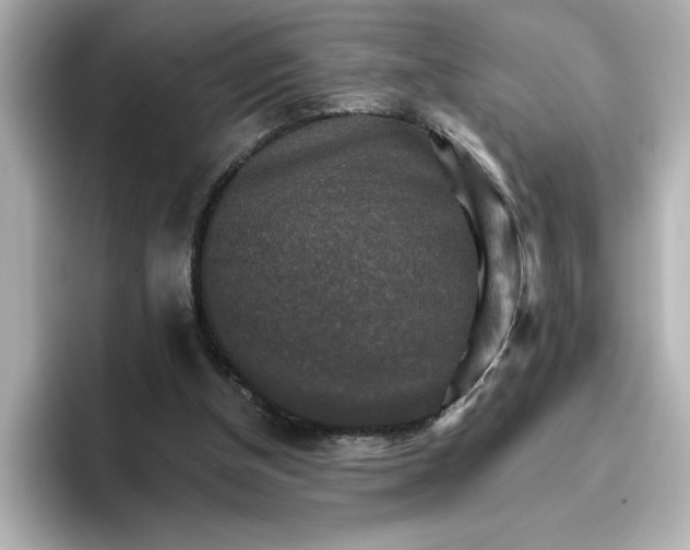 X0000096660154200802261350