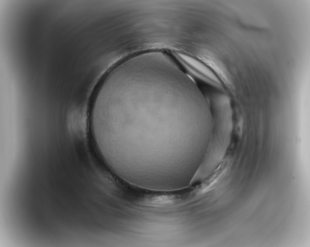 X0000096660156200802261350