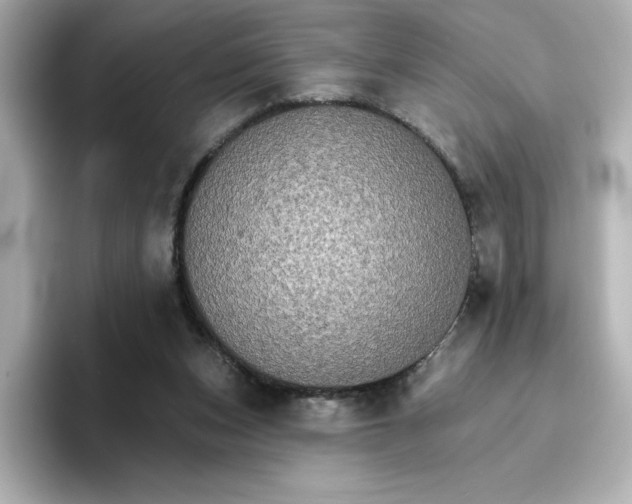 X0000096660159200802261350