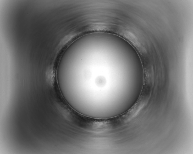 X0000096660160200802261350