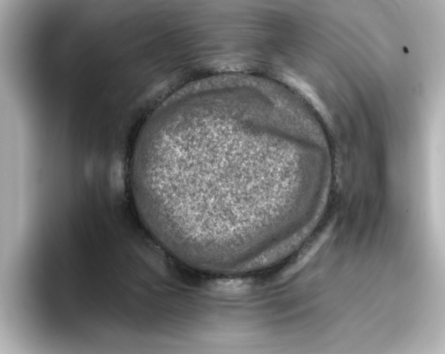 X0000096660161200802261350