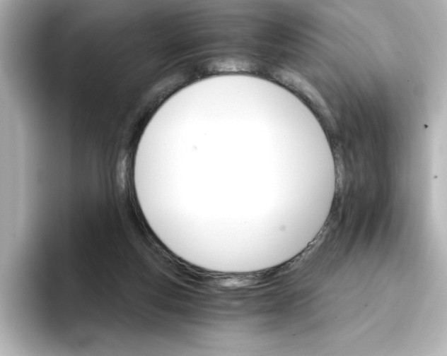 X0000096660163200802261351