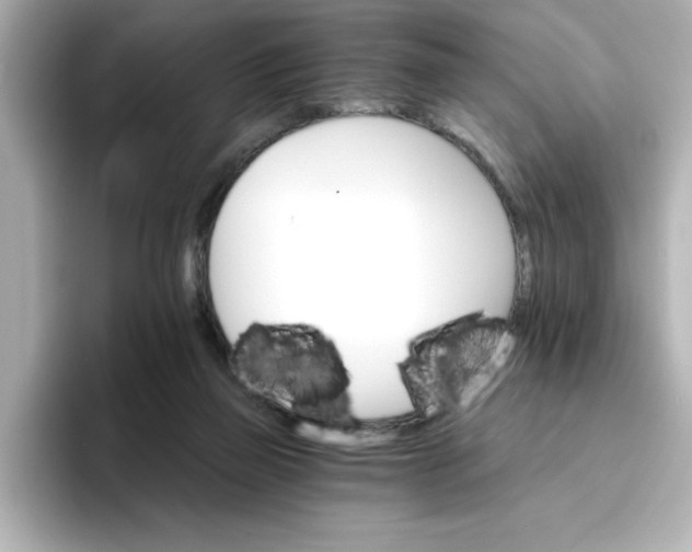 X0000096660165200802261351