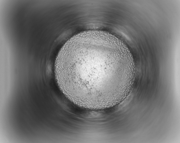 X0000096660166200802261351