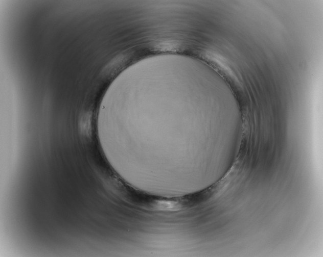 X0000096660167200802261351