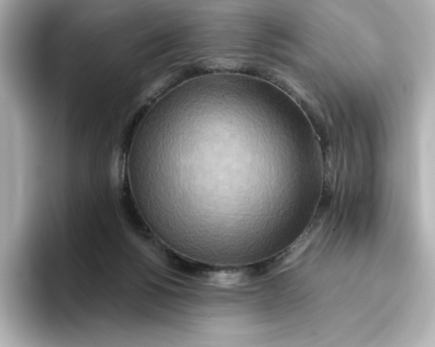 X0000096660168200802261351