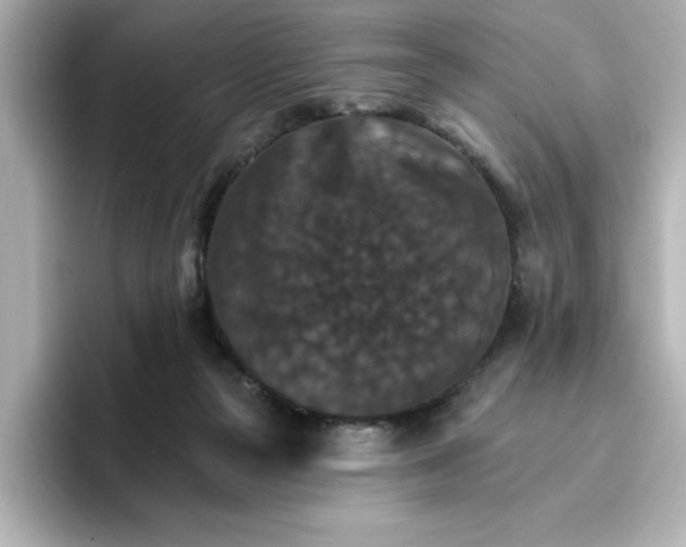 X0000096660169200802261351