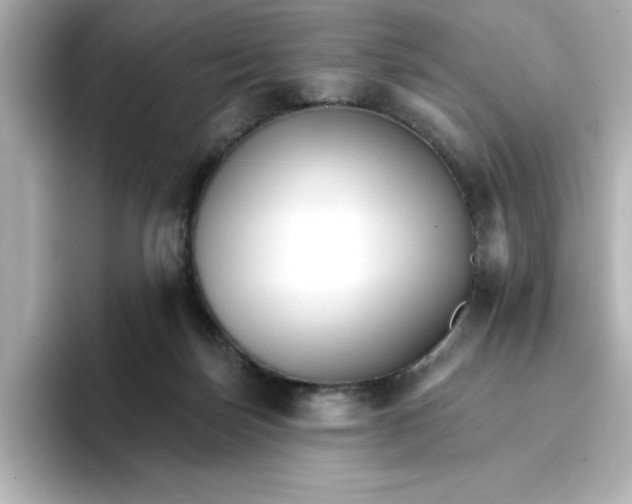 X0000096660171200802261351