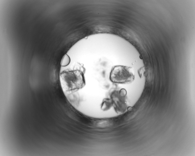 X0000096660173200802261351