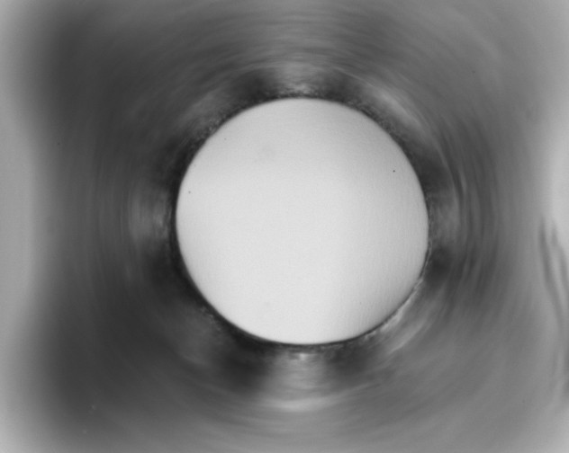 X0000096660174200802261351