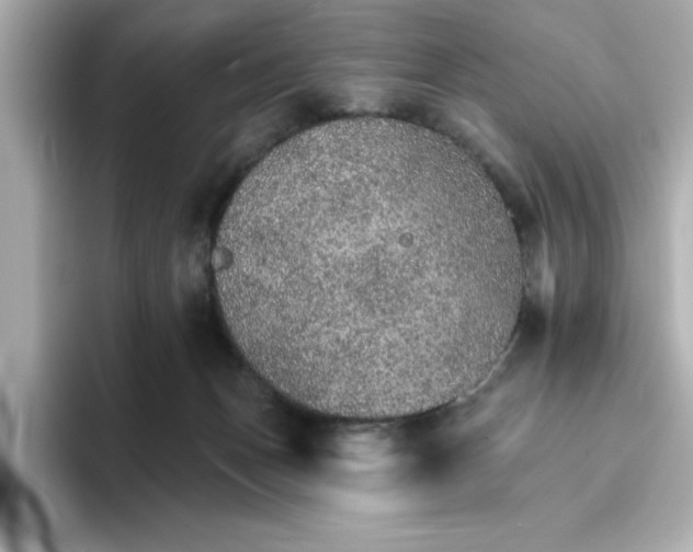 X0000096660175200802261351