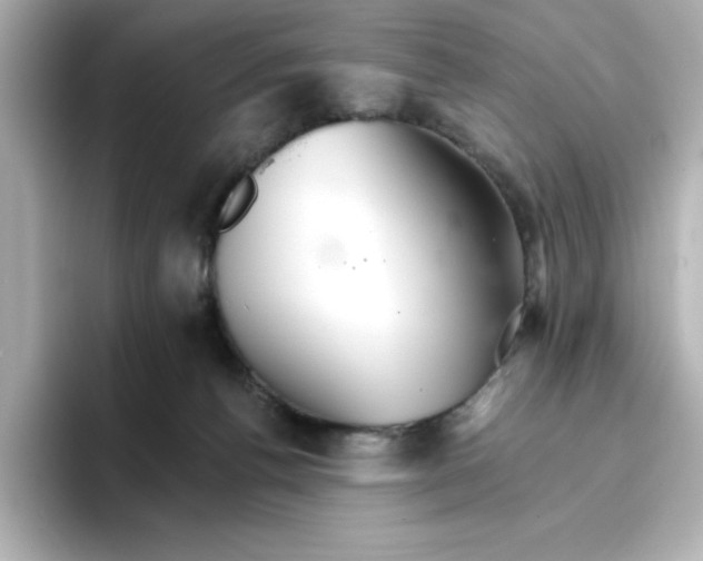 X0000096660176200802261351