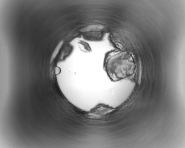 X0000096660177200802261351