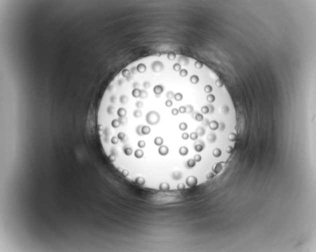 X0000096660179200802261351