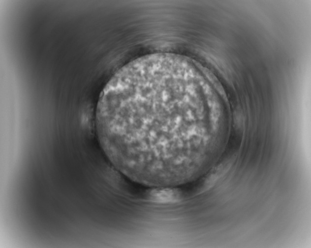 X0000096660181200802261351