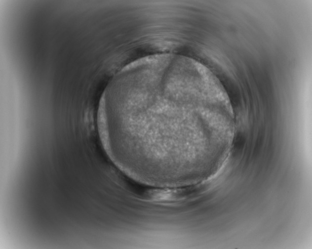 X0000096660182200802261351