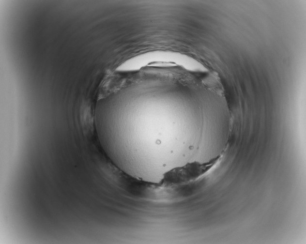 X0000096660186200802261351