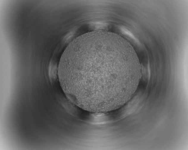 X0000096660189200802261351