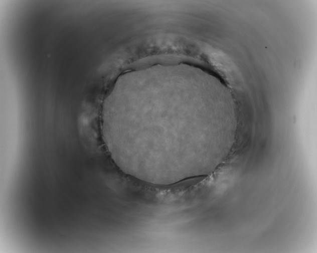 X0000096660192200802261351