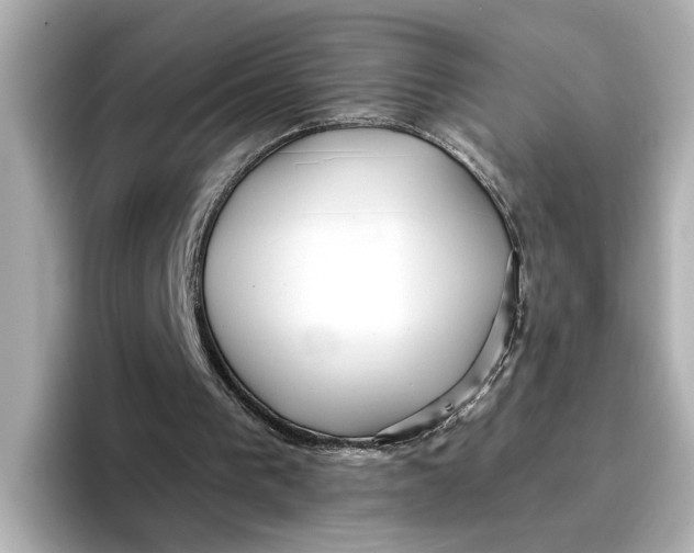 X0000096660193200802261350