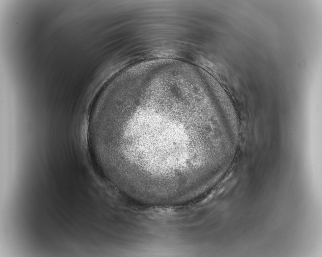 X0000096660194200802261350