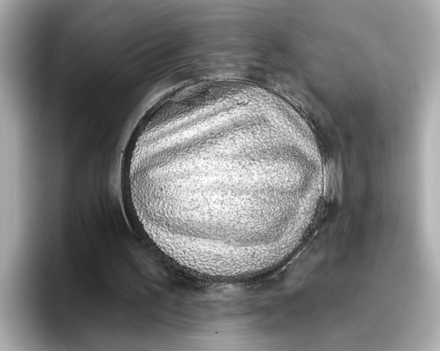 X0000096660195200802261350