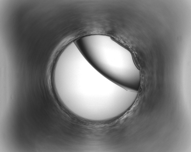 X0000096660197200802261350