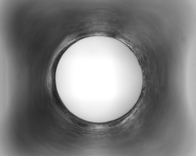 X0000096660198200802261350