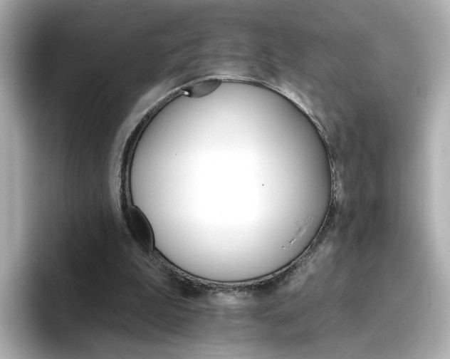 X0000096660199200802261350