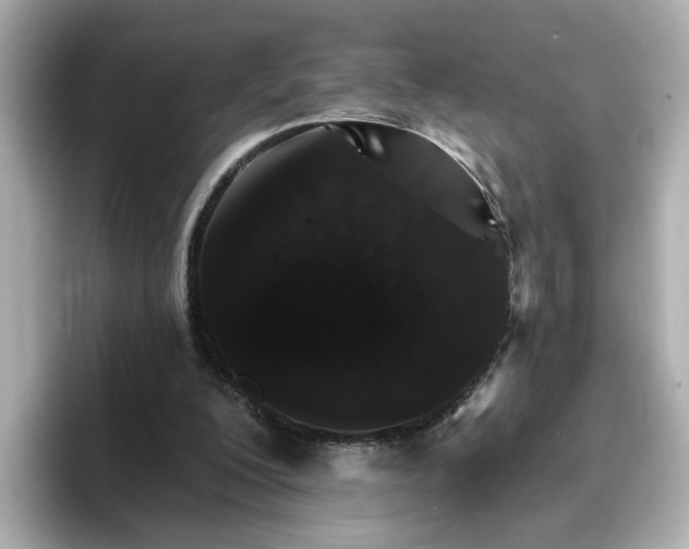 X0000096660200200802261350