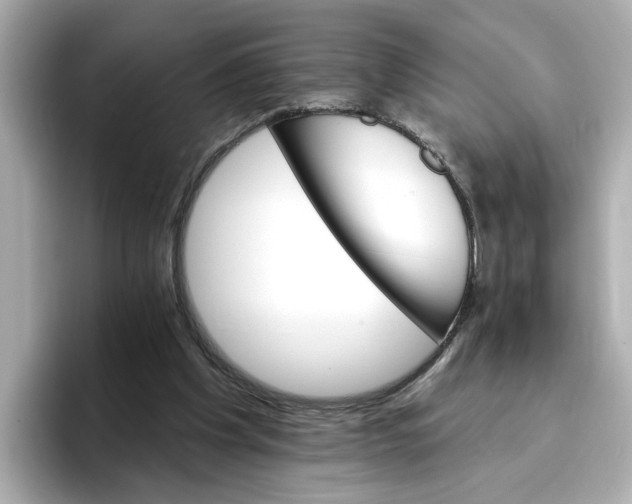 X0000096660201200802261350