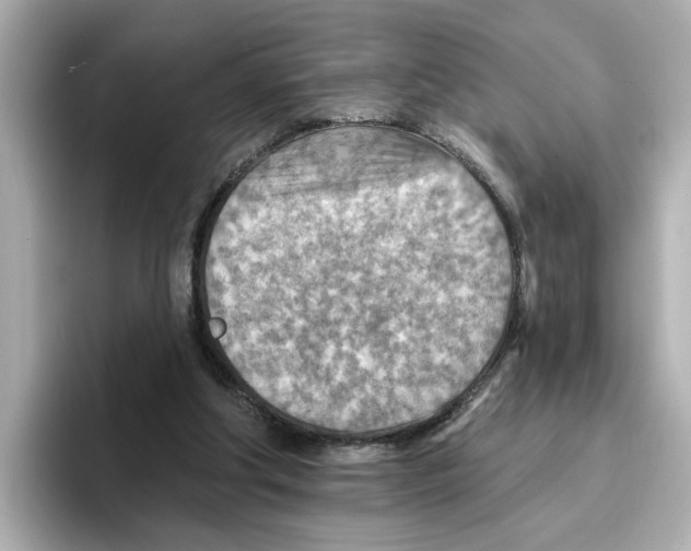 X0000096660202200802261350