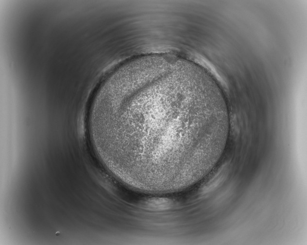 X0000096660203200802261350