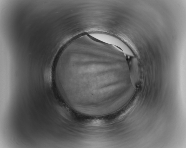 X0000096660204200802261350