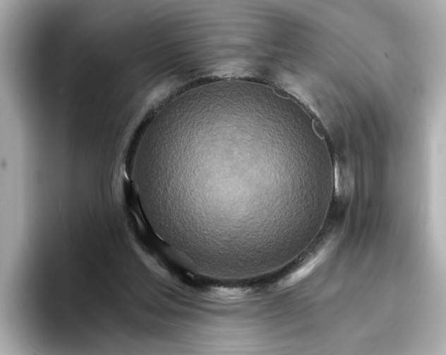 X0000096660205200802261350